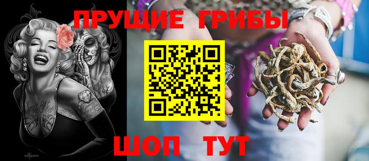 Псилоцибиновые грибы Magic Shrooms  Вход с VPN  Медногорск 